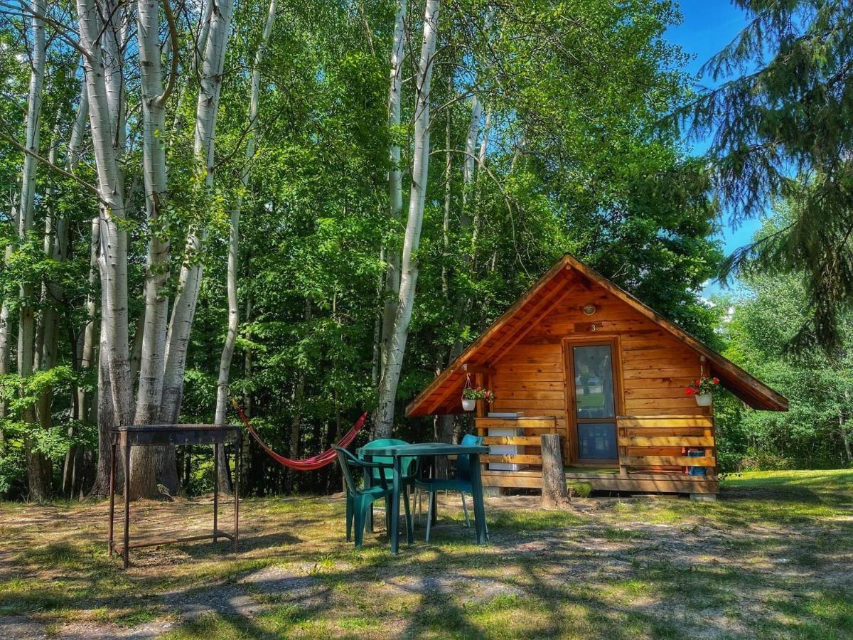 Hotel Camping Dragoske Ciofrîngeni Esterno foto