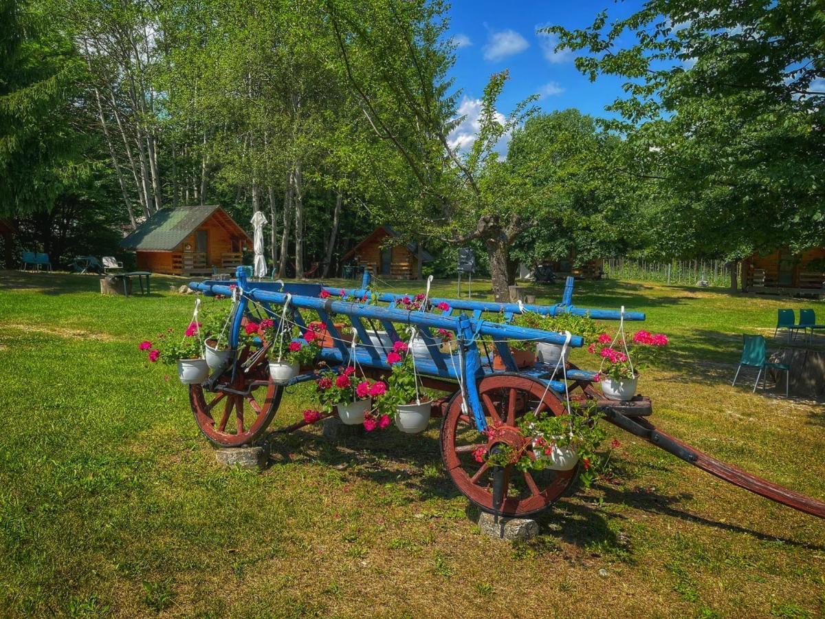 Hotel Camping Dragoske Ciofrîngeni Esterno foto